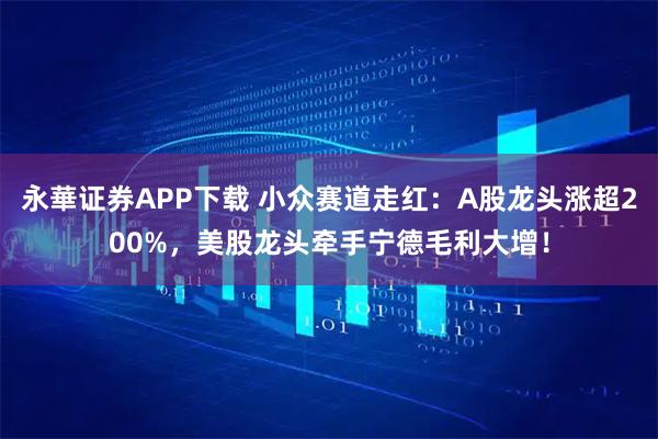 永華证券APP下载 小众赛道走红：A股龙头涨超200%，美股龙头牵手宁德毛利大增！